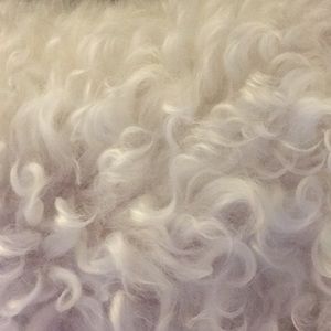 Meet your Posher, Joanne